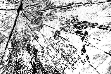 Gri grunge arkaplan, soyut duvar kağıdı.