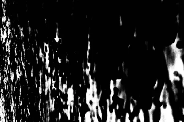 Textura Monocromática Con Fondo Blanco Negro —  Fotos de Stock