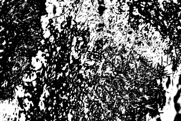 Résumé Fond Grunge Texture Monochrome Fond Texturé Noir Blanc — Photo