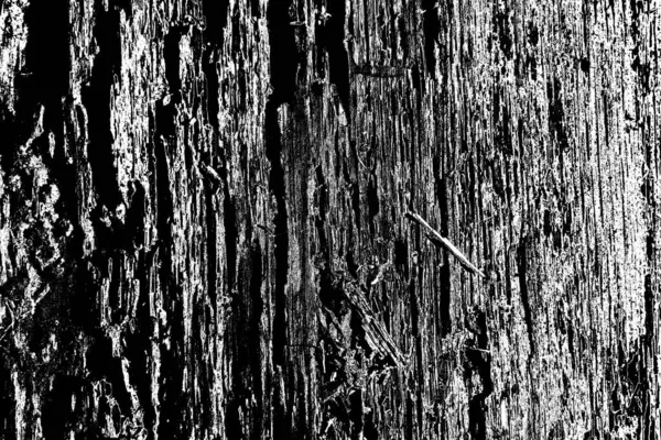 Fondo Grunge Abstracto Textura Monocromática Fondo Texturizado Blanco Negro —  Fotos de Stock