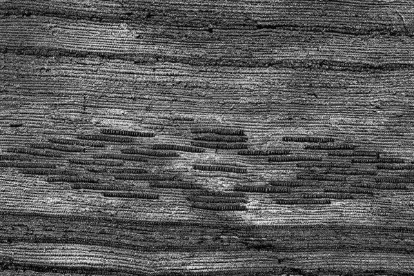 Textura Monocromática Con Fondo Blanco Negro —  Fotos de Stock