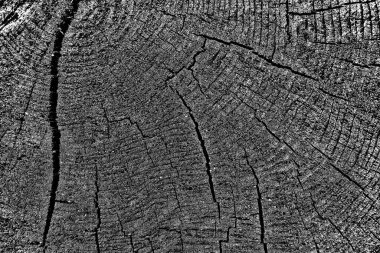 Siyah ve beyaz arkaplanlı tek renkli doku.