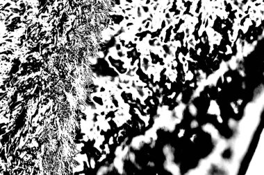 Soyut grunge arkaplanı. Monokrom dokusu. Siyah ve beyaz desenli arkaplan