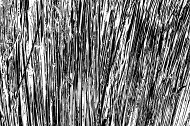 Gri grunge arkaplan, soyut duvar kağıdı.