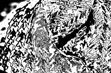 Soyut grunge arkaplanı. Monokrom dokusu. Siyah ve beyaz desenli arkaplan