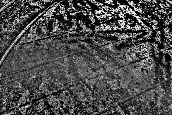 Textura Monocromática Con Fondo Blanco Negro —  Fotos de Stock