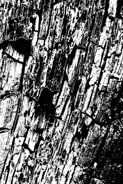 Fondo Grunge Abstracto Textura Monocromática Fondo Texturizado Blanco Negro — Foto de Stock