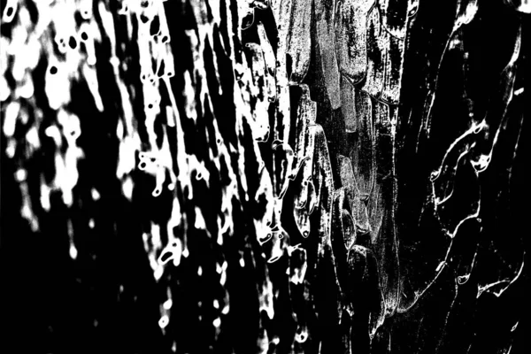 Fond Abstrait Texture Monochrome Image Incluant Effet Les Tons Noir — Photo