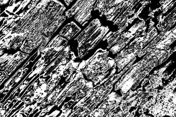 Fondo Grunge Abstracto Textura Monocromática Fondo Texturizado Blanco Negro —  Fotos de Stock