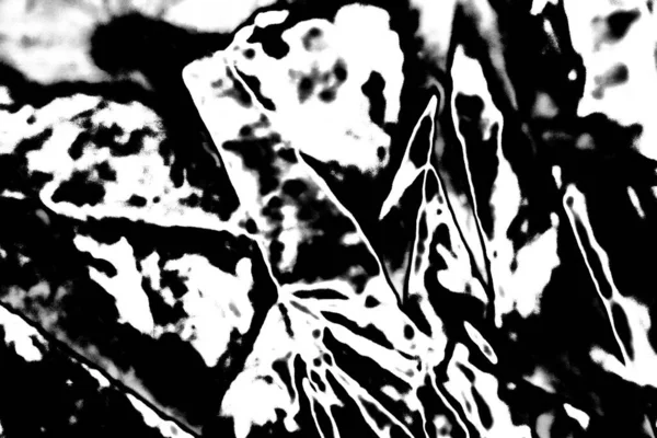 Abstract Background Monochrome Texture Image Including Effect Black White Tones — Stock Photo, Image