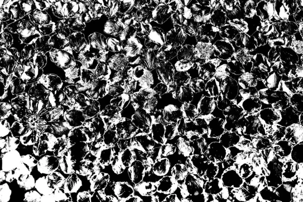 Fundo Grunge Abstrato Textura Monocromática Preto Branco Texturizado Fundo — Fotografia de Stock