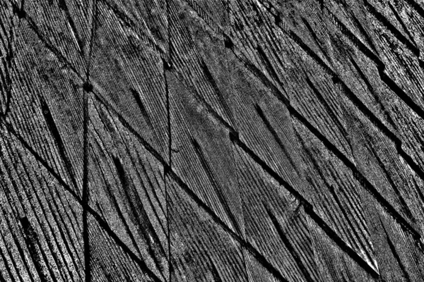 Textura Monocromática Con Fondo Blanco Negro —  Fotos de Stock