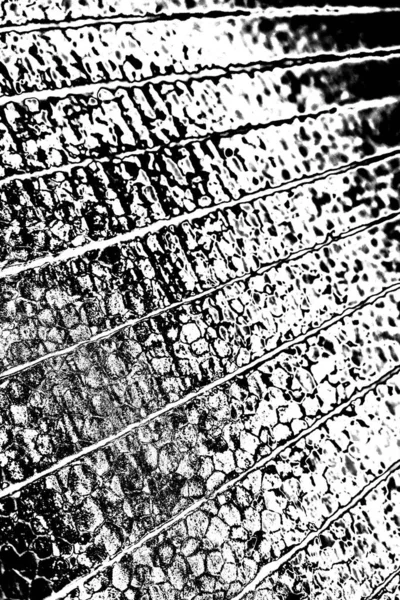 Abstract Background Monochrome Texture Image Including Effect Black White Tones — Stock Photo, Image