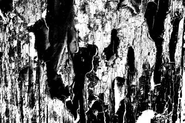 Fondo Grunge Abstracto Textura Monocromática Fondo Texturizado Blanco Negro — Foto de Stock