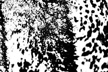 Soyut grunge arkaplanı. Monokrom dokusu. Siyah ve beyaz desenli arkaplan