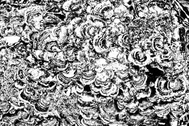 Soyut grunge arkaplanı. Monokrom dokusu. Siyah ve beyaz desenli arkaplan