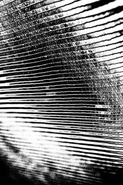 Soyut arkaplan. monokrom dokusu. resim siyah ve beyaz tonları içerir.