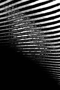 Soyut grunge arkaplanı. Monokrom dokusu. Siyah ve beyaz desenli arkaplan