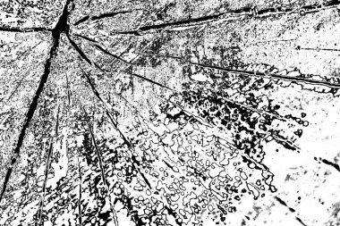 Soyut grunge arkaplanı. Monokrom dokusu. Siyah ve beyaz desenli arkaplan