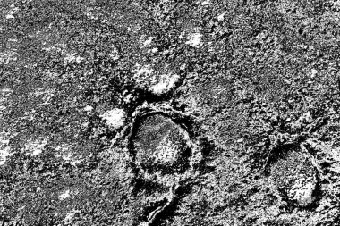 Soyut arkaplan. monokrom dokusu. resim siyah ve beyaz tonları içerir.