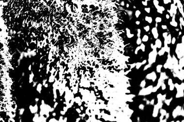 monokrom desenli soyut arkaplan. 