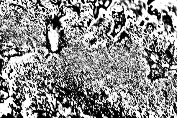 Fondo Grunge Abstracto Textura Monocromática Fondo Texturizado Blanco Negro — Foto de Stock