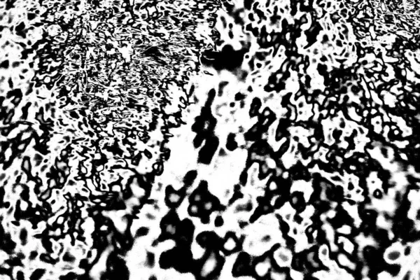 Fondo Grunge Abstracto Textura Monocromática Fondo Texturizado Blanco Negro — Foto de Stock