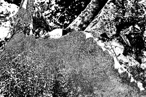 Résumé Fond Grunge Texture Monochrome Fond Texturé Noir Blanc — Photo