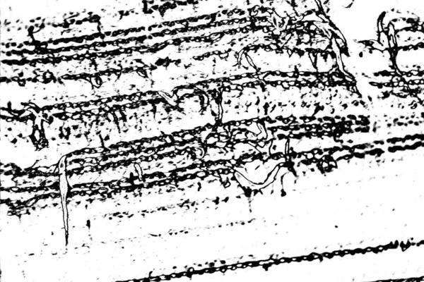 Soyut Grunge Arkaplanı Monokrom Dokusu Resim Siyah Beyaz Tonları Içerir — Stok fotoğraf