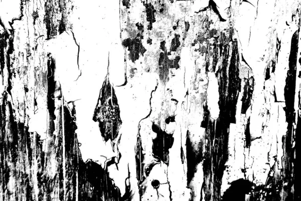 Abstract Grunge Background Monochrome Texture Black White Textured Background — Stock Photo, Image