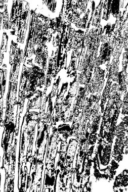 Soyut arkaplan. monokrom dokusu. resim siyah ve beyaz tonları içerir.