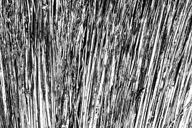 Soyut grunge arkaplanı. Monokrom dokusu. Siyah ve beyaz desenli arkaplan