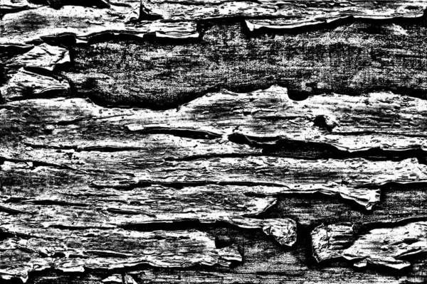 Textura Monocromática Con Fondo Blanco Negro —  Fotos de Stock