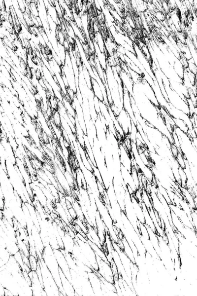 Abstract Grunge Background Monochrome Texture Image Including Effect Black White — Stock Photo, Image