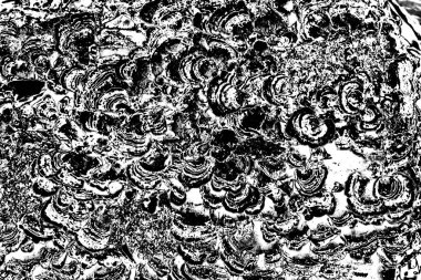 Soyut arkaplan. monokrom dokusu. resim siyah ve beyaz tonları içerir.