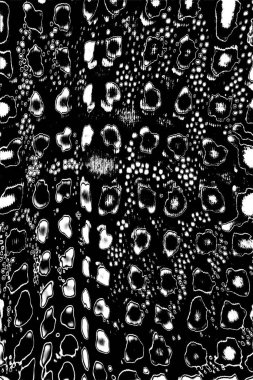 Siyah ve beyaz arkaplanlı tek renkli doku.