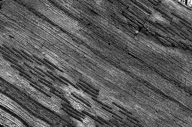 Siyah ve beyaz arkaplanlı tek renkli doku.