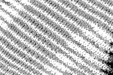 Siyah ve beyaz arkaplanlı tek renkli doku.