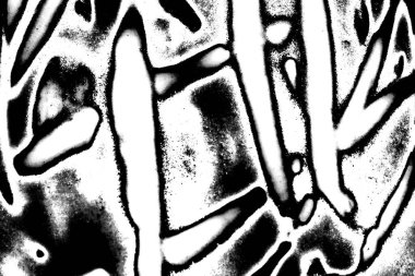 Soyut grunge arkaplanı. Monokrom dokusu. Siyah ve beyaz desenli arkaplan