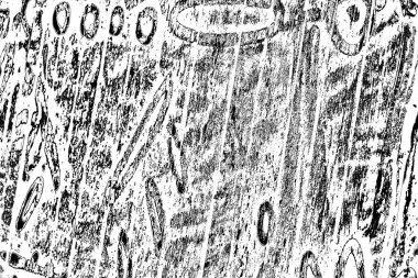 Soyut grunge arkaplanı. Monokrom dokusu. Siyah beyaz arkaplan