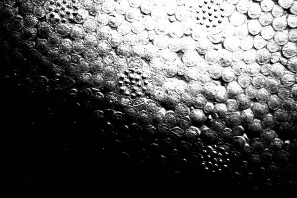 Fondo Grunge Abstracto Textura Monocromática Fondo Texturizado Blanco Negro —  Fotos de Stock