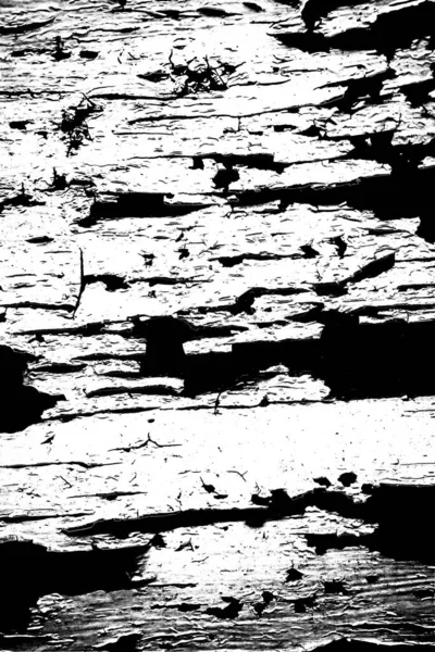 Fundo Grunge Abstrato Textura Monocromática Preto Branco Texturizado Fundo — Fotografia de Stock