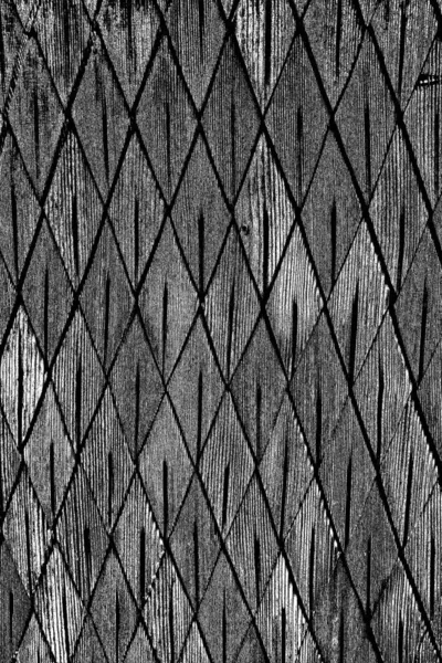 Monochrome Texture Black White Background — Stock Photo, Image