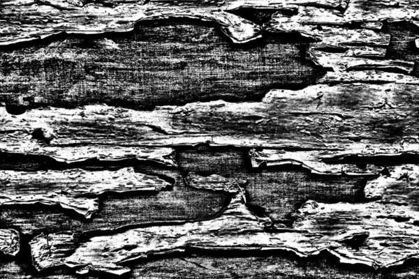 Textura Monocromática Con Fondo Blanco Negro —  Fotos de Stock