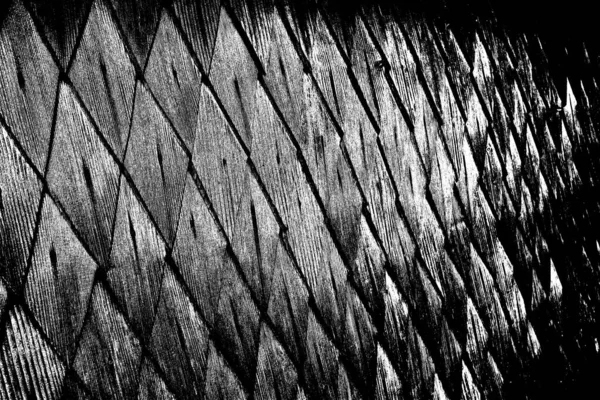 Sfondo Astratto Texture Monocromatica Immagine Compreso Effetto Toni Bianco Nero — Foto Stock