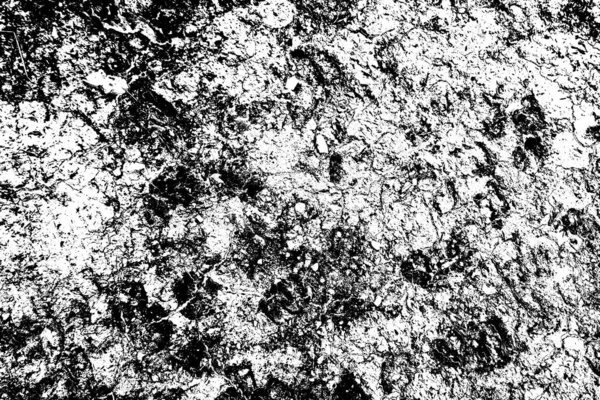 Fondo Grunge Abstracto Textura Monocromática Fondo Texturizado Blanco Negro — Foto de Stock