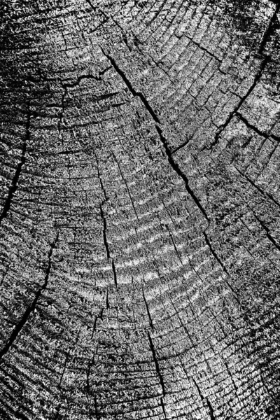 Sfondo Astratto Texture Monocromatica Immagine Compreso Effetto Toni Bianco Nero — Foto Stock