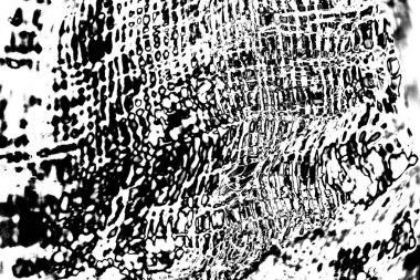 Soyut grunge arkaplanı. Monokrom dokusu. Siyah ve beyaz desenli arkaplan