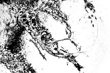 Soyut grunge arkaplanı. Monokrom dokusu. Resim siyah ve beyaz tonları içerir.