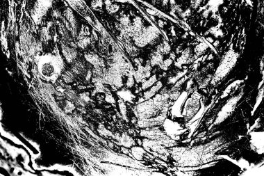 Soyut grunge arkaplanı. Monokrom dokusu. Siyah ve beyaz desenli arkaplan